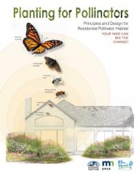planting for pollinators guide