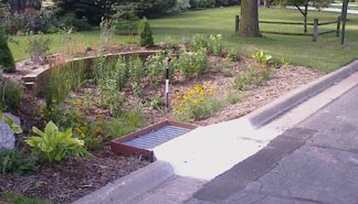 Image of Vegetation Establishment and Maintenance Stormwater Projects Pre-treatment