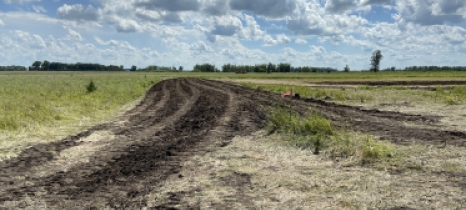 Black soil indicates where a berm is being constructed