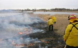 Image of Vegetation Establishment and Maintenance Upland Maintenance Prescribed Burning