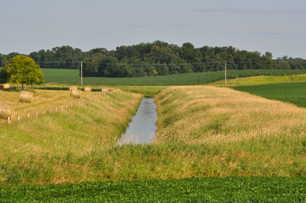 MN Buffer