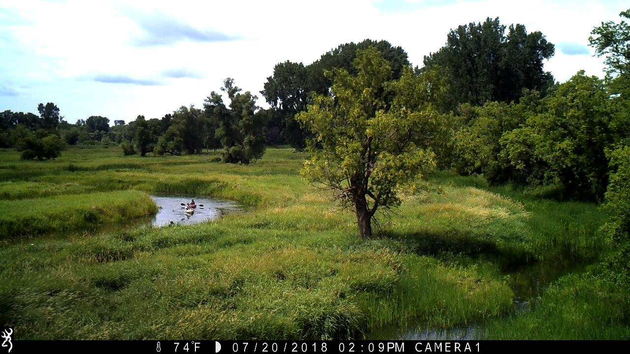 Rice Creek