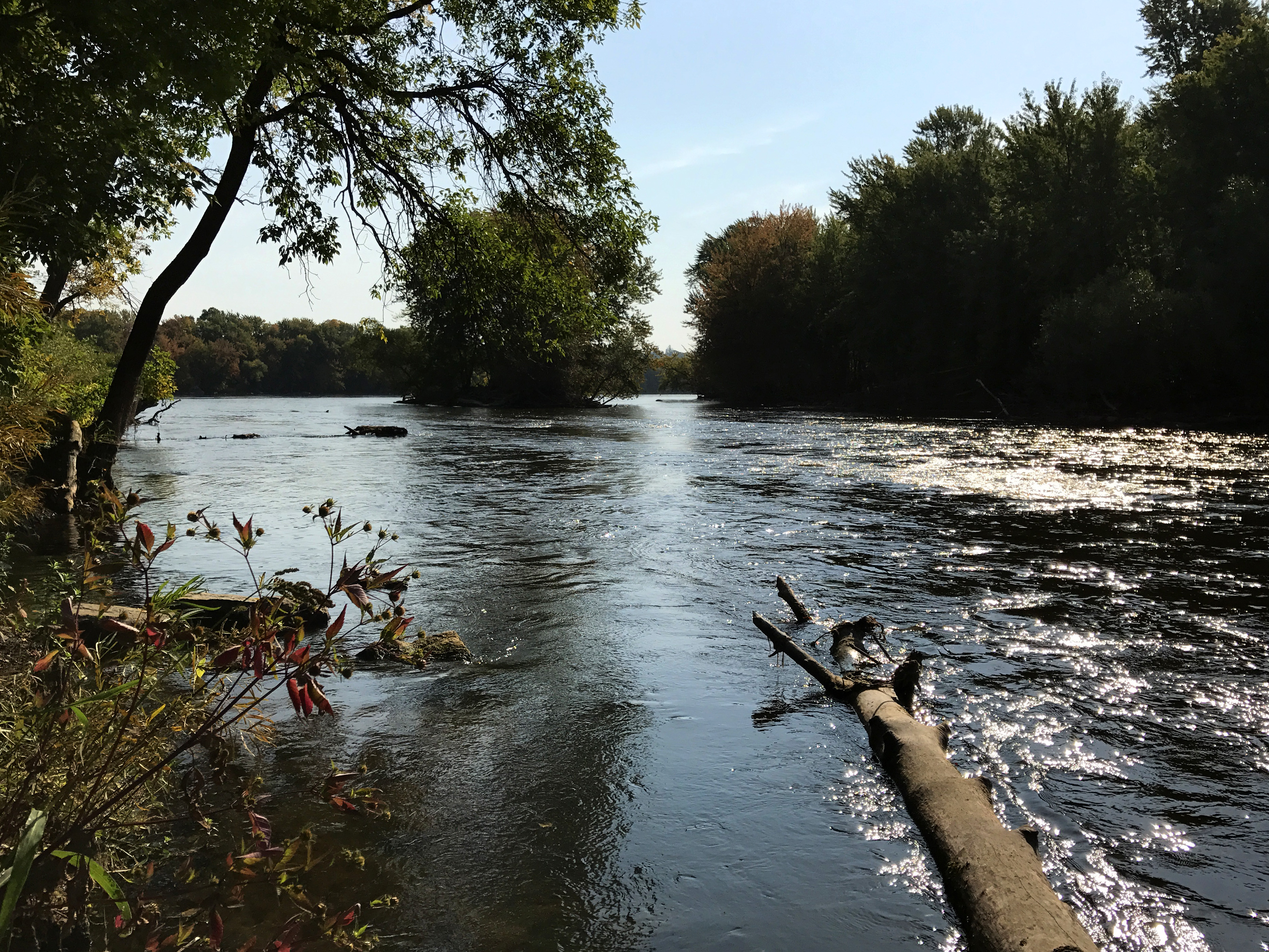 Sauk River