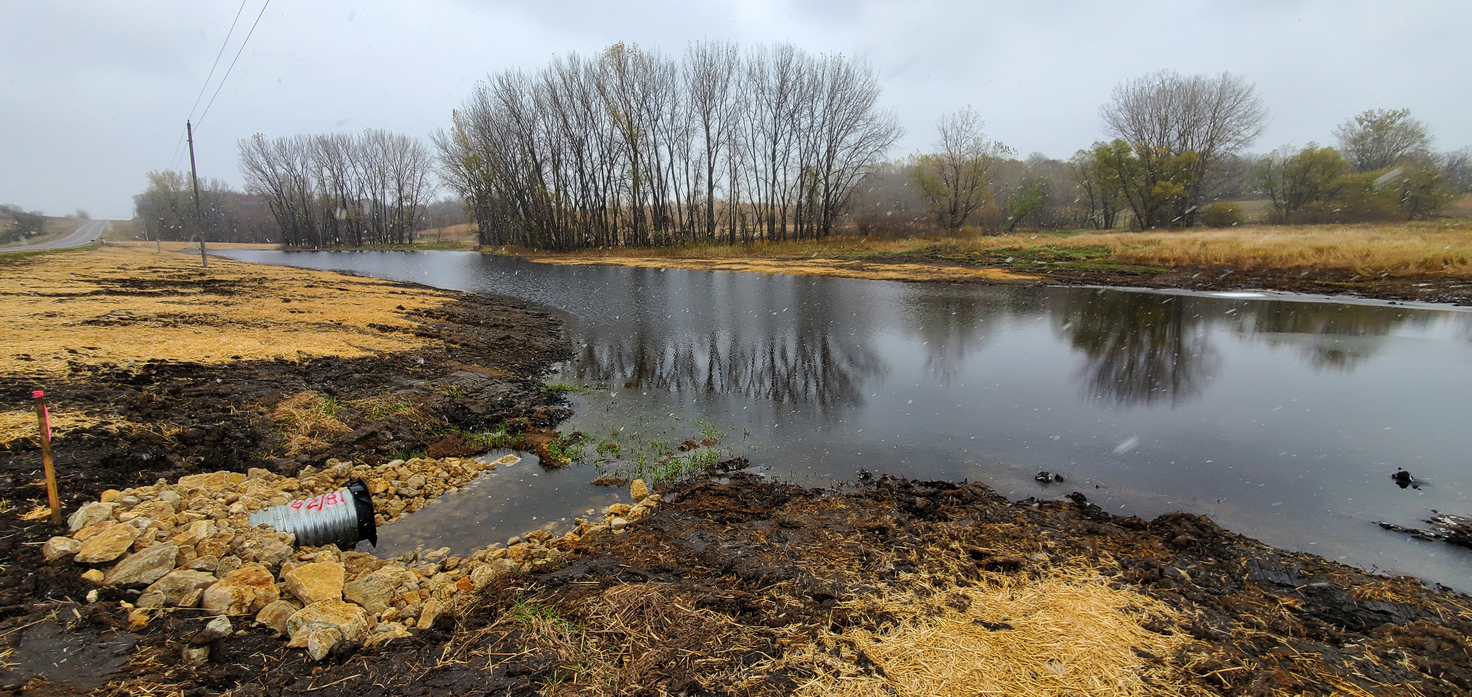 wetland restoration