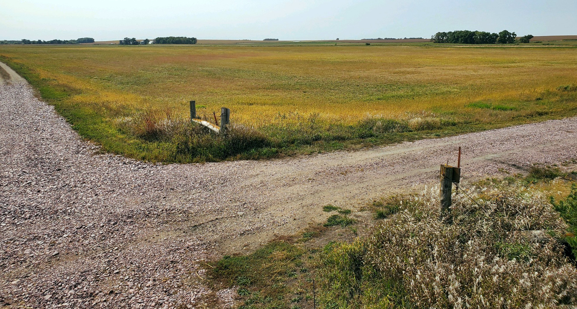 pipegras easement landscape