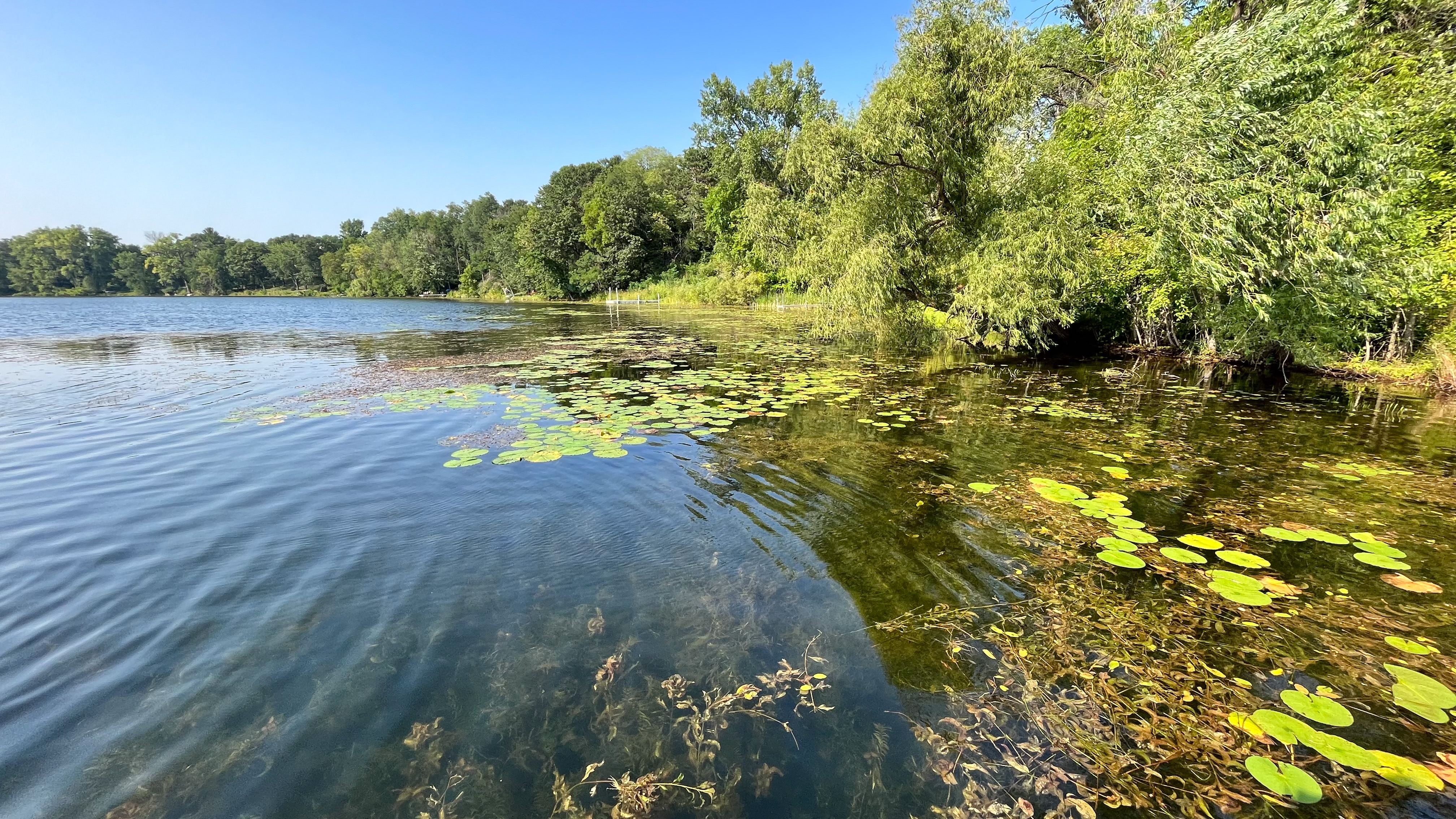 Blue sky reflects in a lake ringed by trees