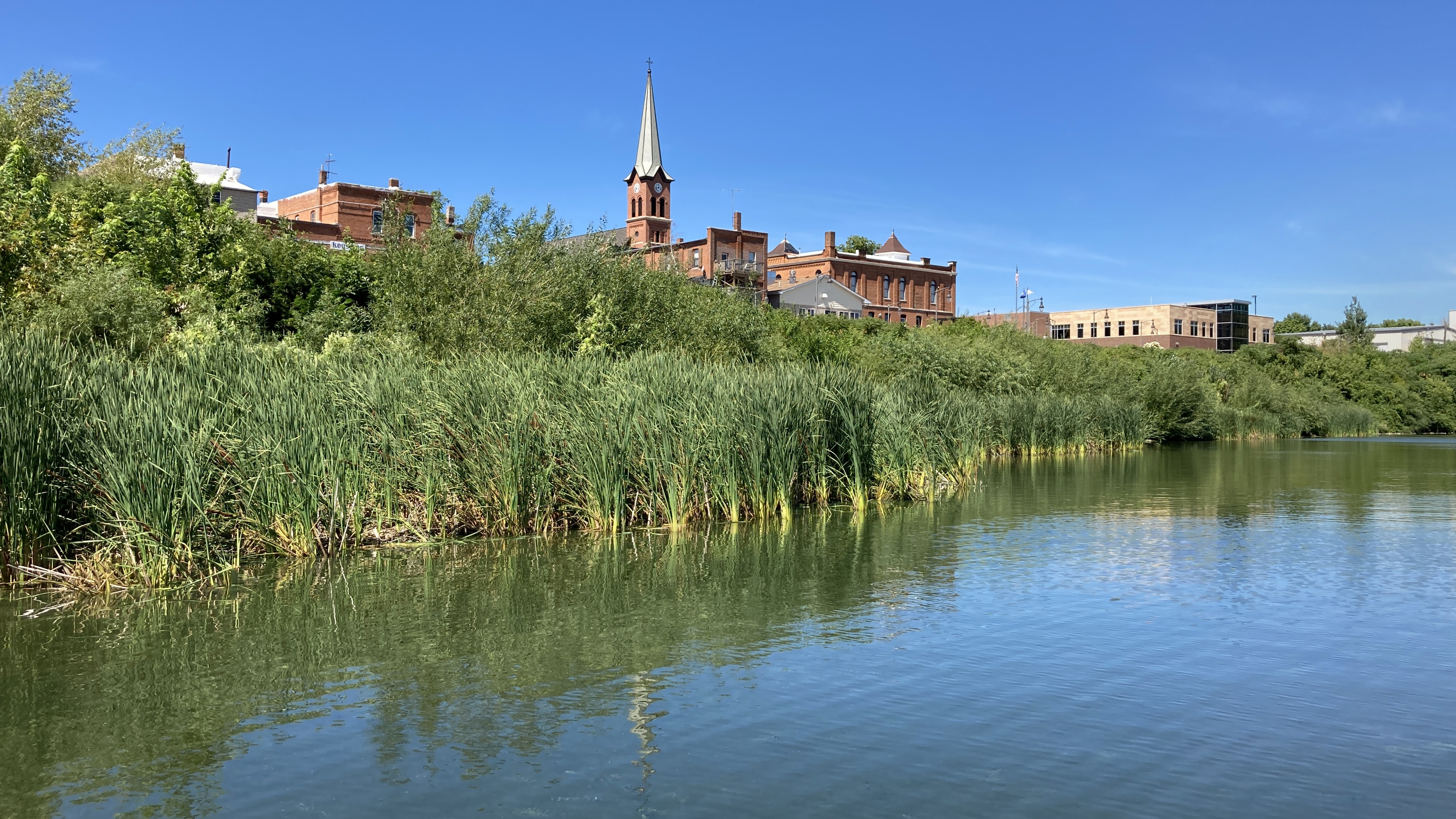 Buildings and trees reflect in a lake ringed by cattails