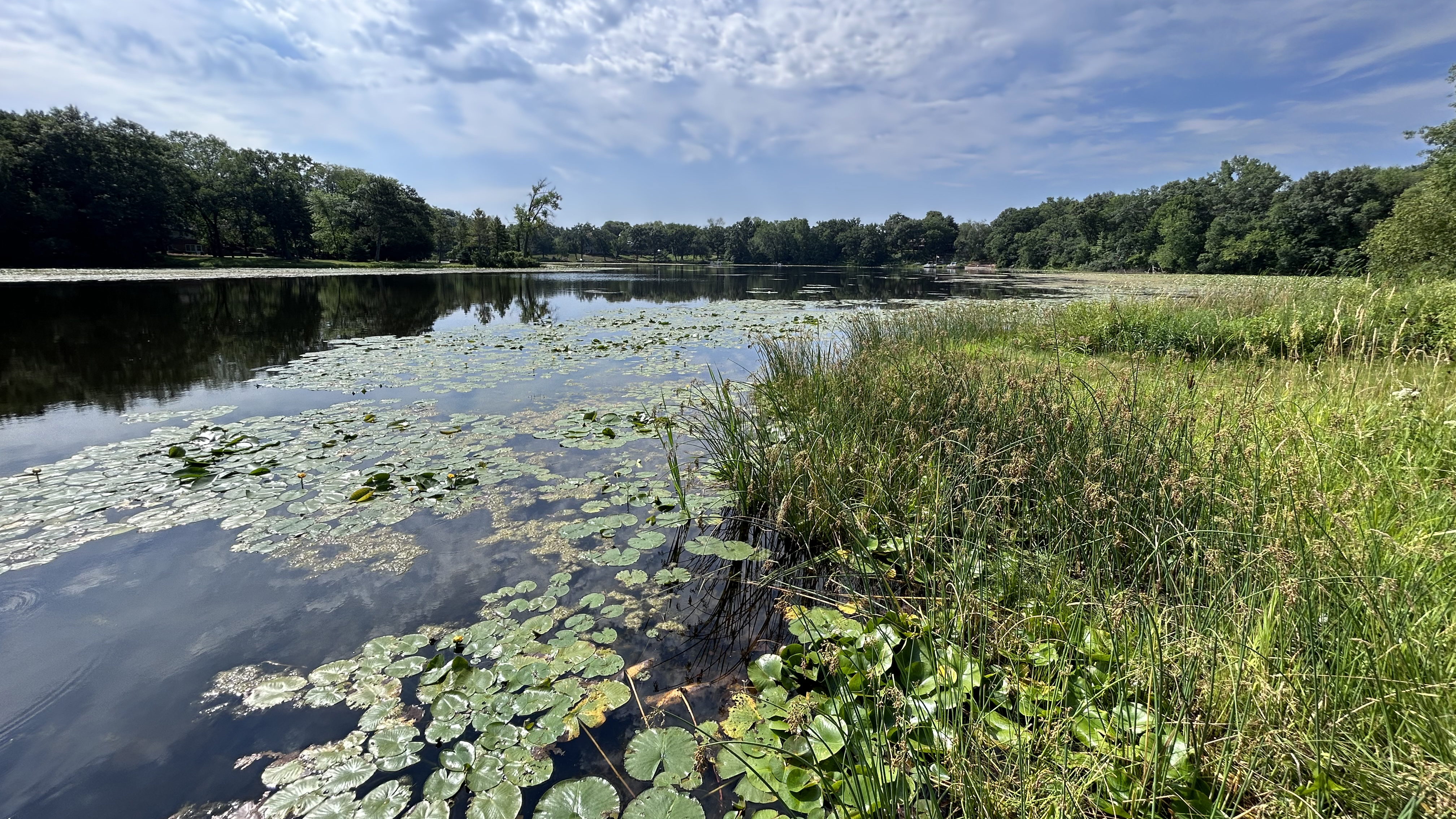 Blue sky and clouds reflect in a lake with lily pads. Trees mark the distant horizon.