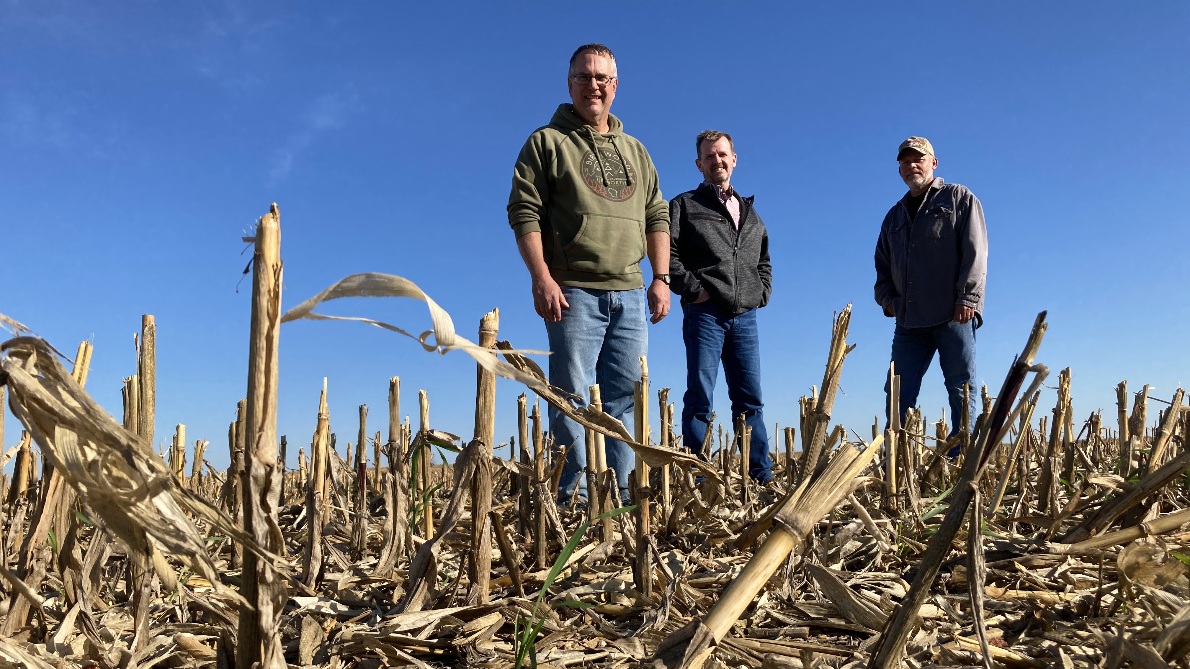 Three men stand amid corn stalks in a harvested field