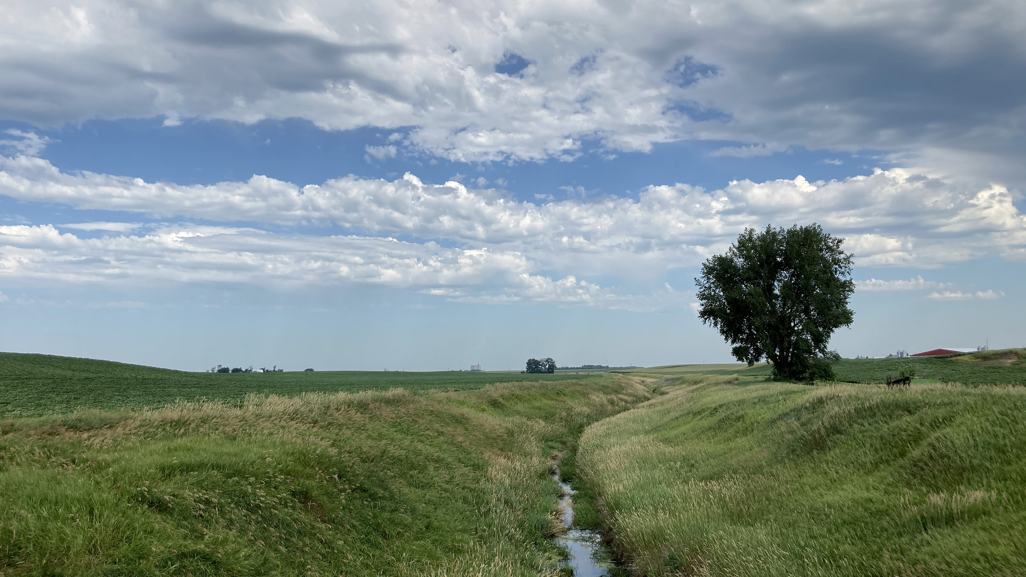 narrow stream bordered by grassy banks 