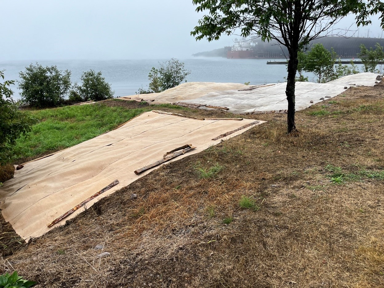Image of HELP project at Agate Bay