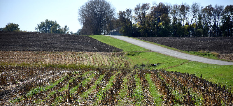 Soil Health Pic