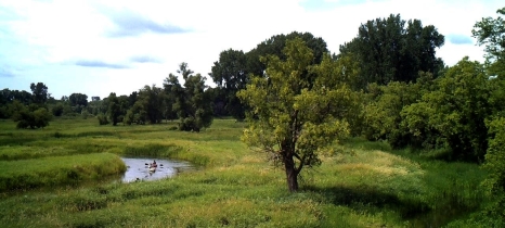 Rice Creek