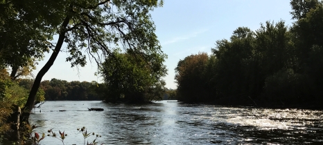 Sauk River