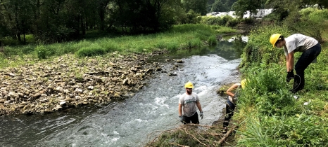 People restoring river banks