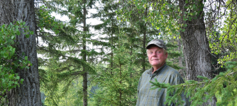 Man standing in woods