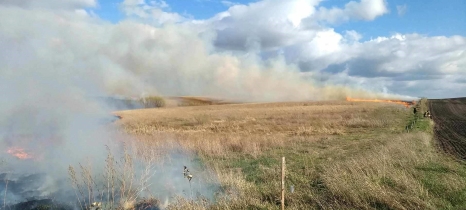 Smoke rises from a prescribed burn
