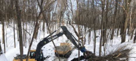 A crew from Minnesota Native Landscapes worked Dec. 19, 2019, on a Pioneer-Sarah Creek Watershed Management Commission project to stabilize a ravine in the Baker Park Reserve campground. 