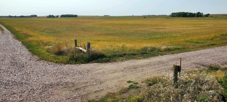 pipegras easement landscape