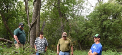 Four people stand in green plants with trees in the background