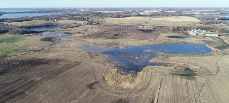 Wetland