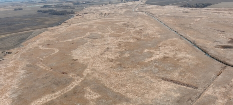 Field