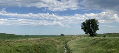 ditch