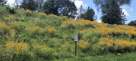 Habitat