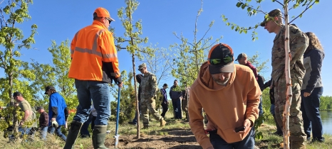people planting trees