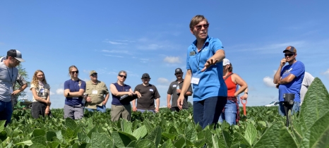 people stand in a soybean field