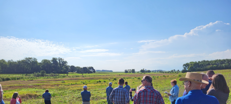 people standing in field