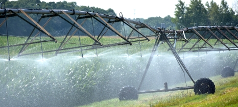 irrigator