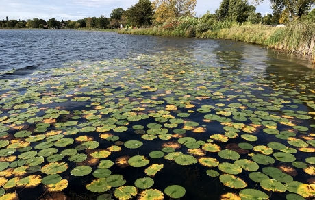 Serpent Lake