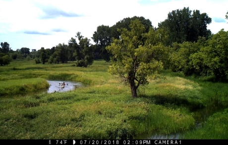 Rice Creek