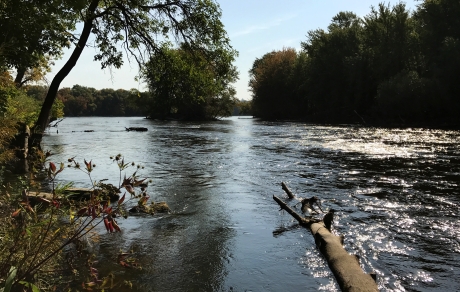 Sauk River