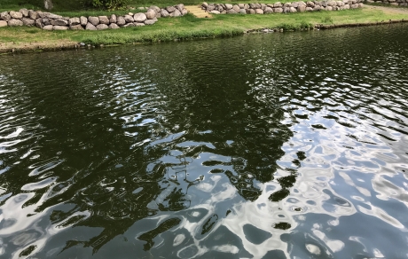 Blue Lake, Isanti County