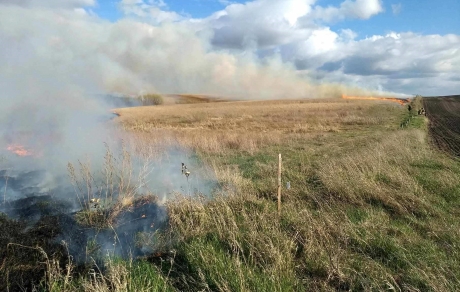 Smoke rises from a prescribed burn