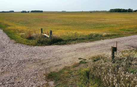 pipegras easement landscape