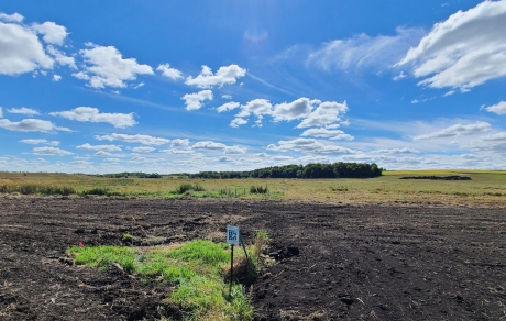 A Reinvest in Minnesota sign stands in a patch of grass