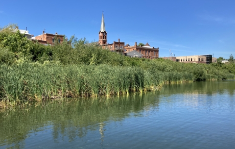 Buildings and trees reflect in a lake ringed by cattails