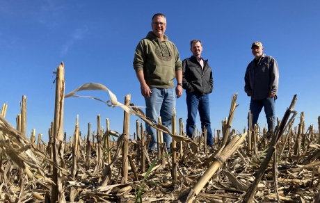 Three men stand amid corn stalks in a harvested field