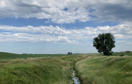 narrow stream bordered by grassy banks 