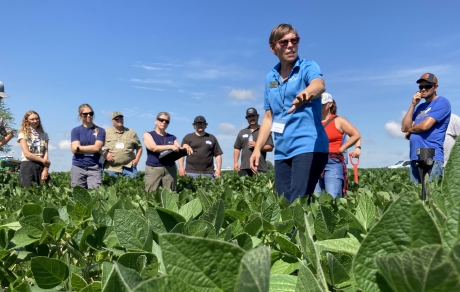 people stand in a soybean field