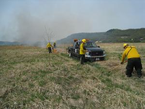 controlled burn on grassland