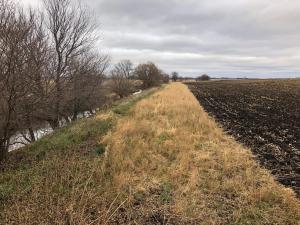 CRP Buffer installed in 2018