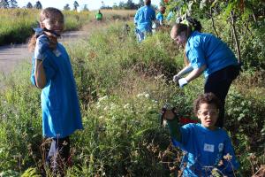 Kids removing invasive plants.