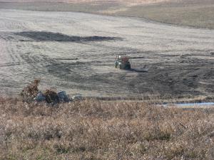 Broadcast seeding native grasses and forbs