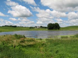 Wetland Restoration Project