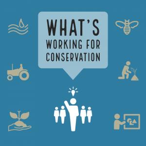 What's Working for Conservation Logo