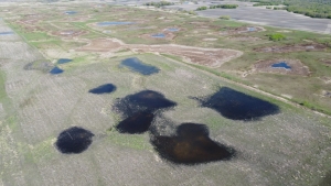 RIM-Wetlands